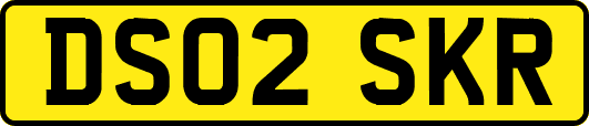 DS02SKR