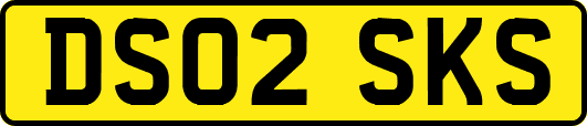 DS02SKS