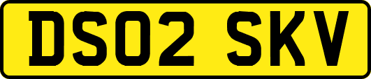 DS02SKV