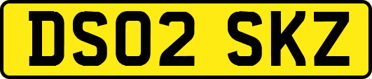 DS02SKZ