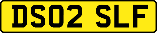 DS02SLF