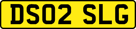 DS02SLG
