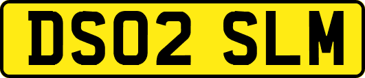 DS02SLM