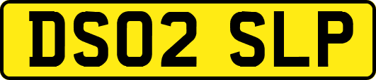 DS02SLP