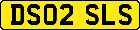 DS02SLS