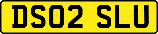 DS02SLU