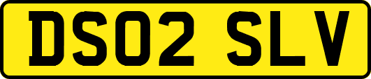 DS02SLV
