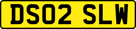 DS02SLW