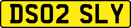 DS02SLY