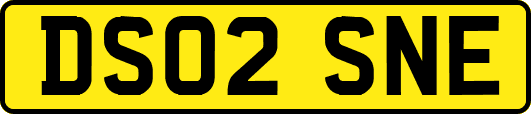 DS02SNE