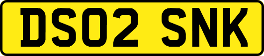 DS02SNK