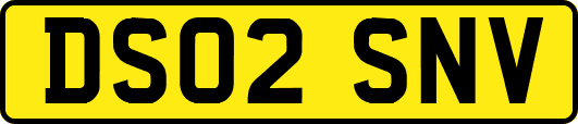 DS02SNV