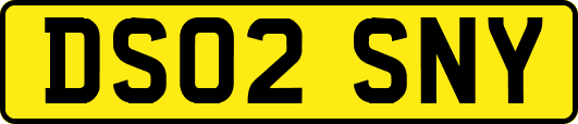 DS02SNY