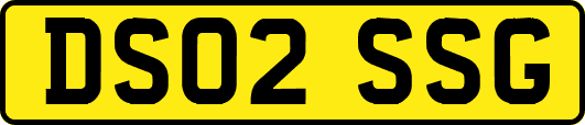 DS02SSG