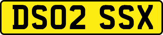 DS02SSX