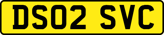 DS02SVC