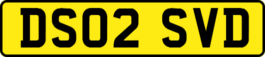 DS02SVD