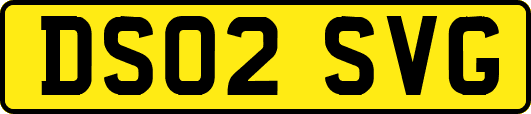 DS02SVG