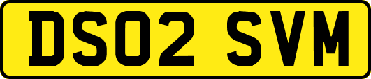 DS02SVM