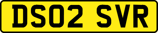 DS02SVR