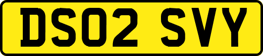 DS02SVY