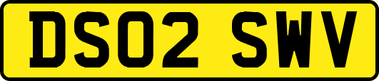 DS02SWV