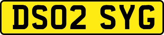 DS02SYG