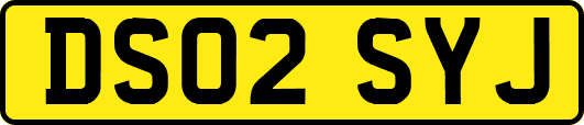 DS02SYJ