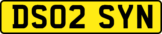 DS02SYN