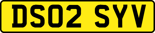 DS02SYV