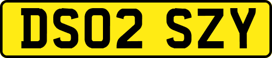 DS02SZY
