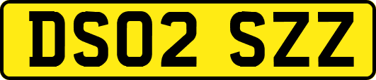 DS02SZZ