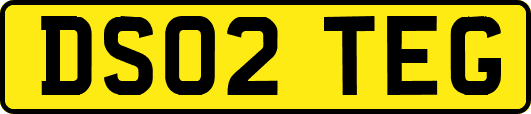 DS02TEG