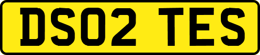 DS02TES