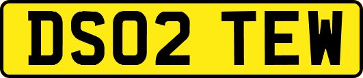 DS02TEW