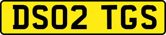 DS02TGS