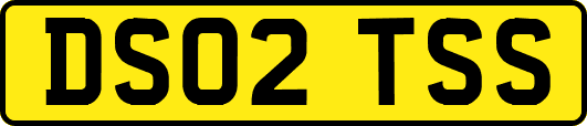 DS02TSS