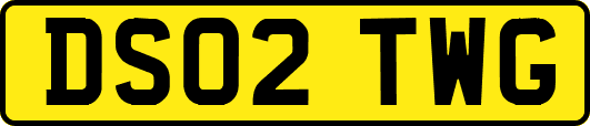 DS02TWG