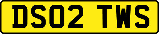DS02TWS