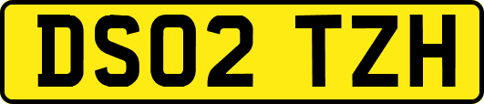 DS02TZH