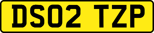DS02TZP