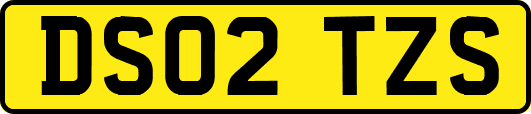 DS02TZS