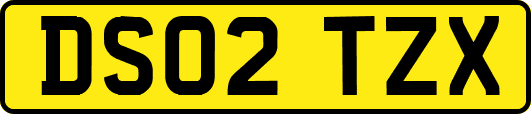 DS02TZX