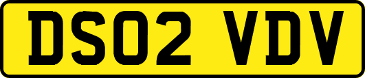 DS02VDV