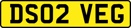 DS02VEG