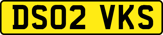 DS02VKS