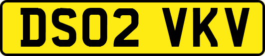 DS02VKV