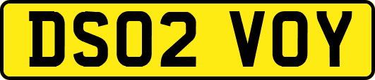 DS02VOY