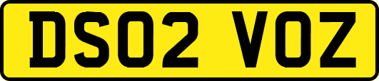 DS02VOZ