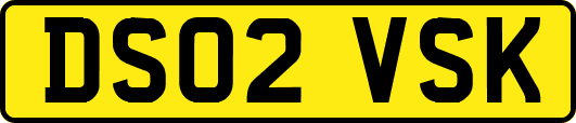 DS02VSK